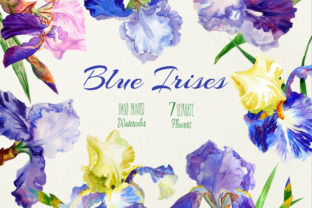 Blue Irises Watercolor Clip Art & Illustrations