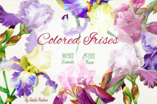 Colored Irises Watercolor Clipart & Illustrations