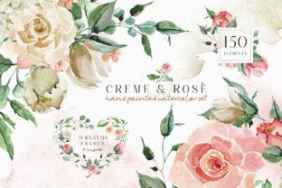 Creme Rose Watercolor Set Illustrations