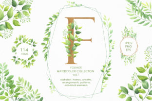 Foliage Watercolor Collection Vol.1 Illustrations Review