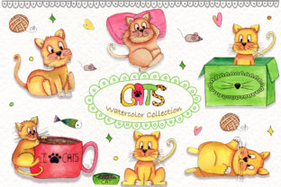 Lazy Cats Watercolor Illustrations Review