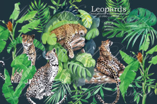 Leopards Watercolor Clip Art & Illustrations
