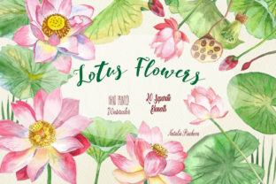 Lotus Flowers Watercolor Clipart & Illustrations
