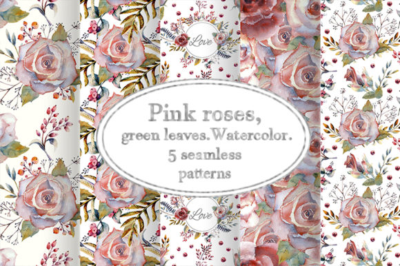 Pink Rose Watercolor Illustrations Review