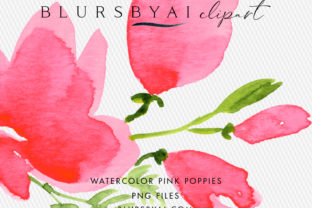 Pink Watercolor Poppies Clipart & Illustrations