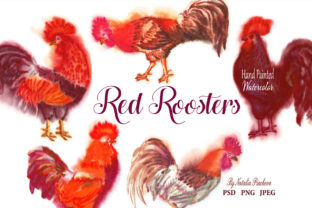 Red Roosters Red Watercolor Clipart & Illustrations