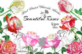 Roses Watercolor Clipart for Illustrations