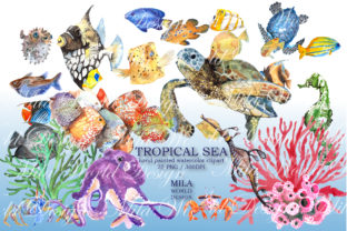Tropical Sea Watercolor Clip Art & Illustrations