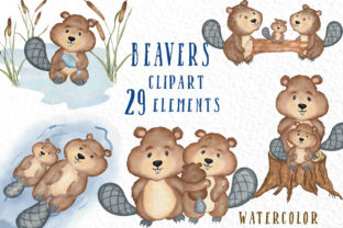 Watercolor Animals Beaver Illustrations Review
