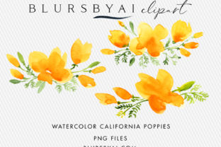 Watercolor California Poppies Clipart & Illustrations