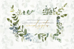 Watercolor Eucalyptus Clipart Collection & Illustrations