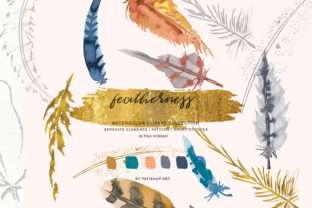 Watercolor Feather Clipart Collection & Illustrations