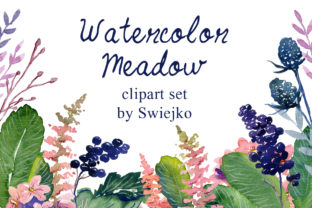 Watercolor Flowers Berries and Leaves Illustrations