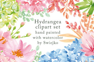 Watercolor Hydrangea Flowers Illustrations Review