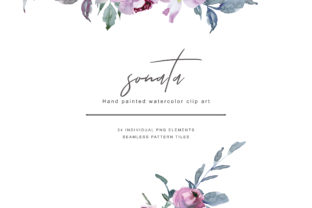 Watercolor Lilac Roses Clipart & Illustrations