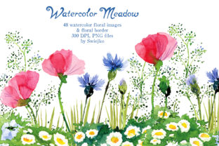 Watercolor Meadow Flowers Illustrations Review