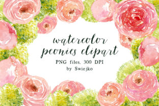 Watercolor Peonies Illustrations Review