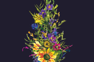 Watercolor Sunflower Wildflower Clipart & Illustrations