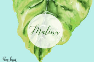 Watercolor Tropical Leaves: Illustrations Review