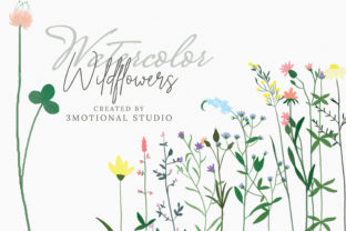 Watercolor Wildflowers High Res Review